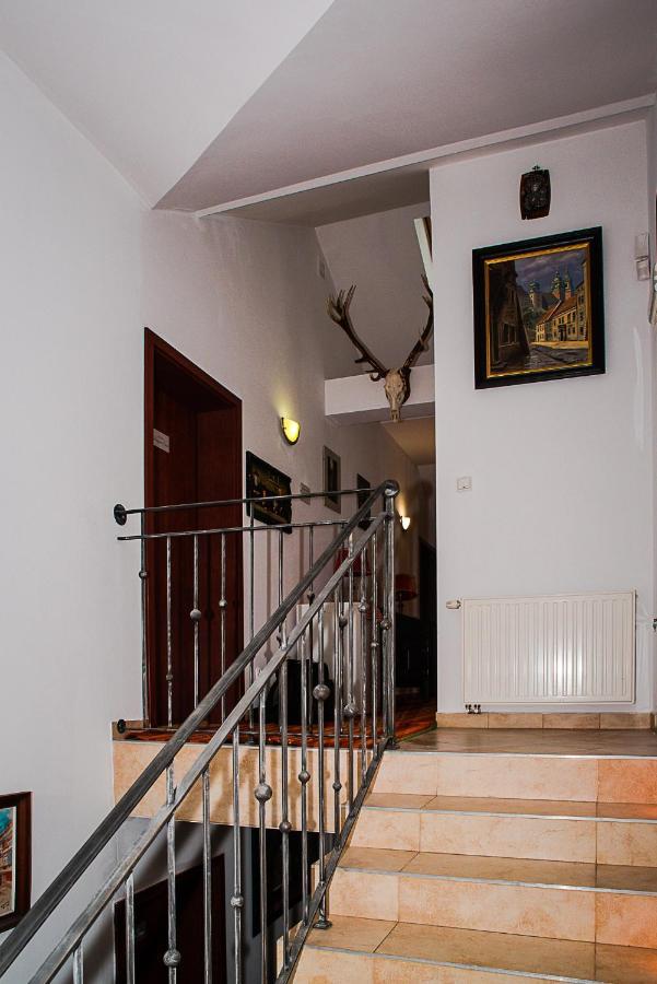 Willa Alba Nałęczów Esterno foto